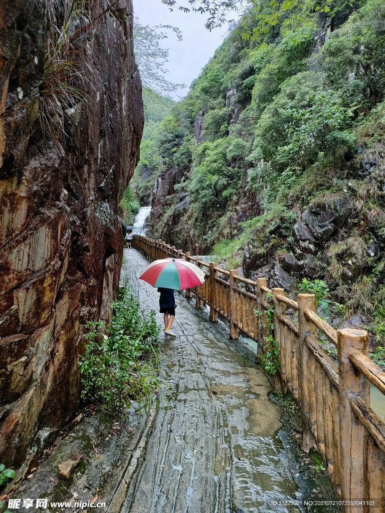 雨后蘭花谷