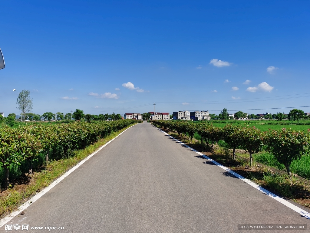 鄉村道路