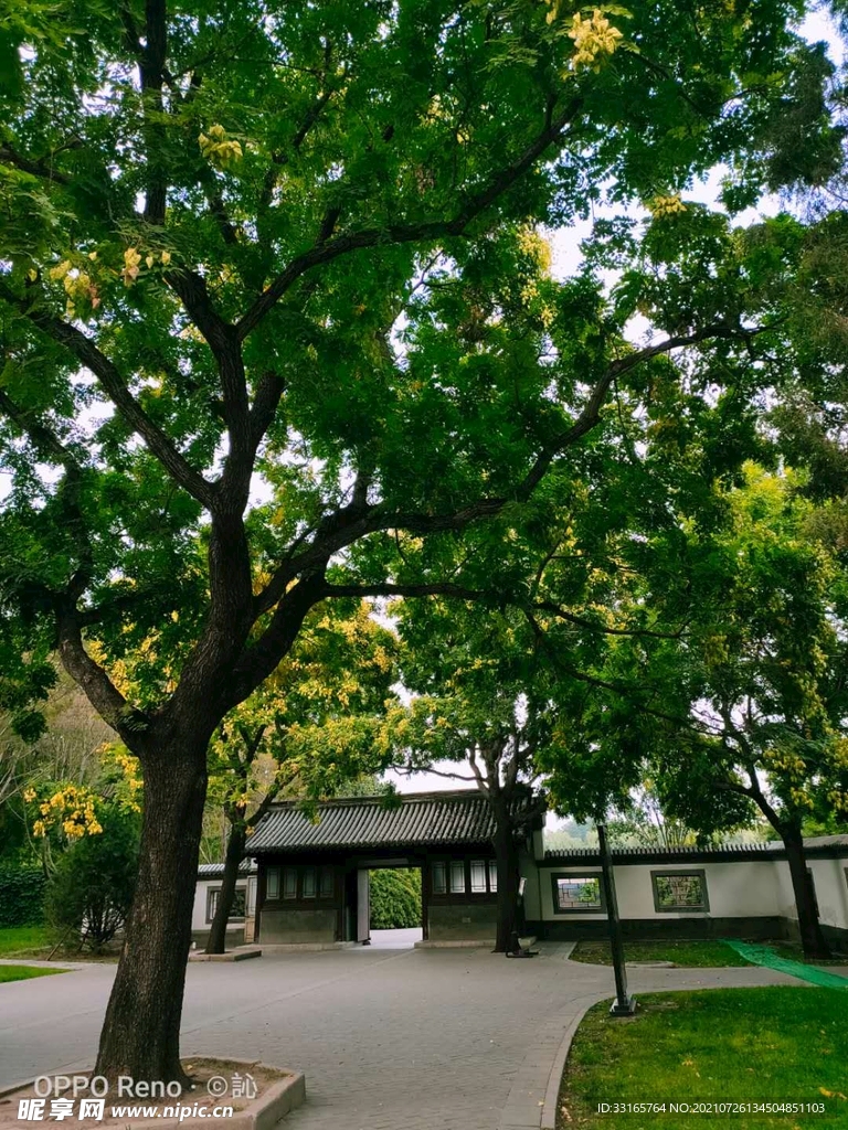 小院