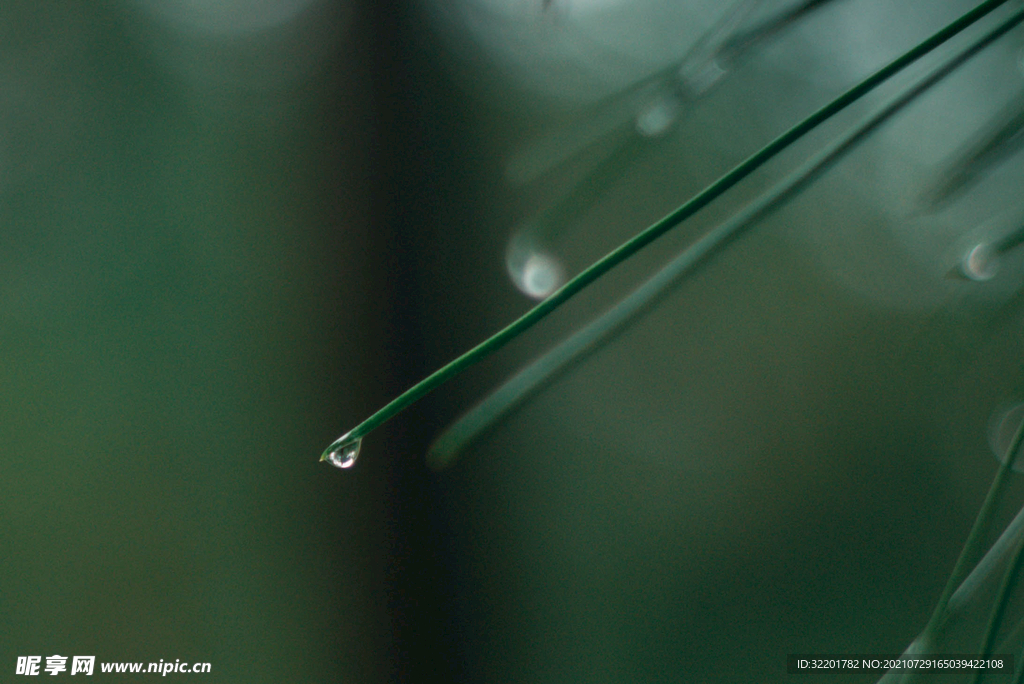 雨滴