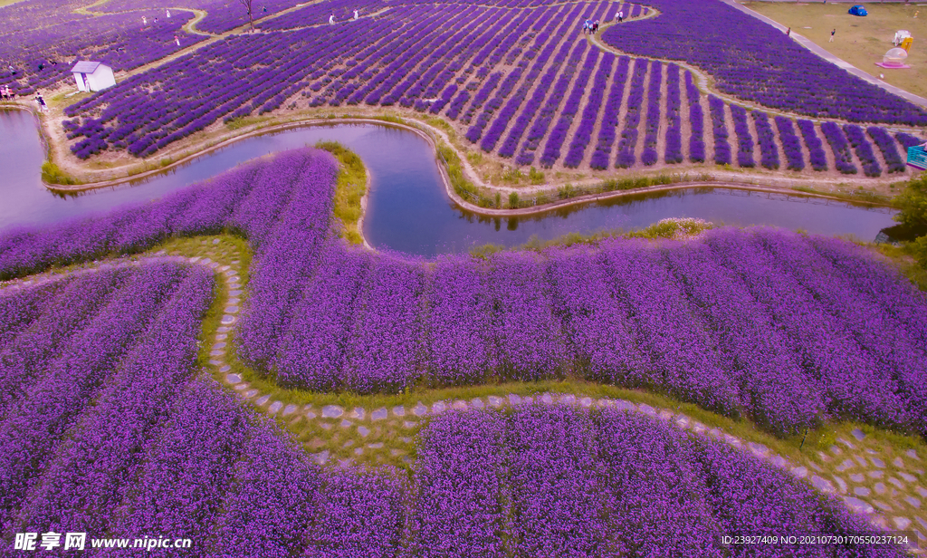 俯拍風(fēng)景 
