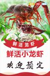 小龍蝦