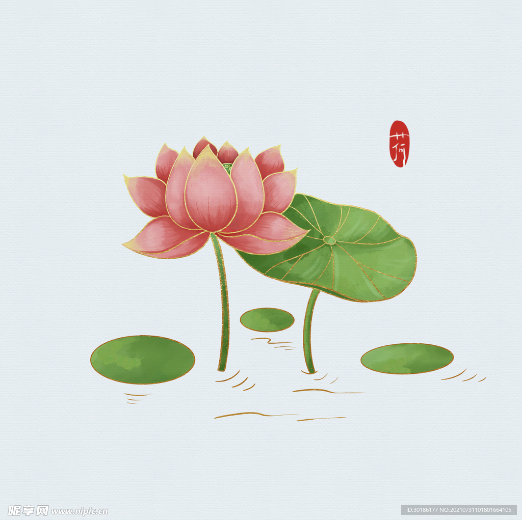 插畫荷花