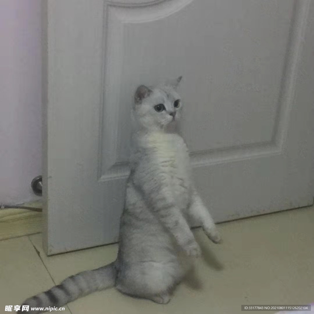 漸層