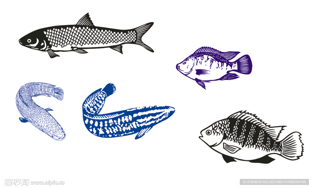 魚