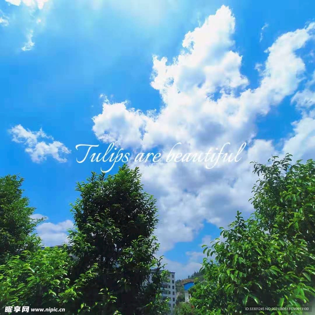 夏日