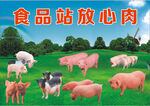 猪养殖场