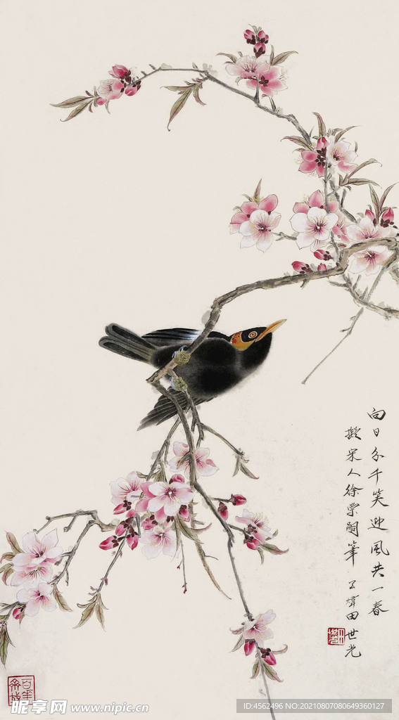 花鳥國畫