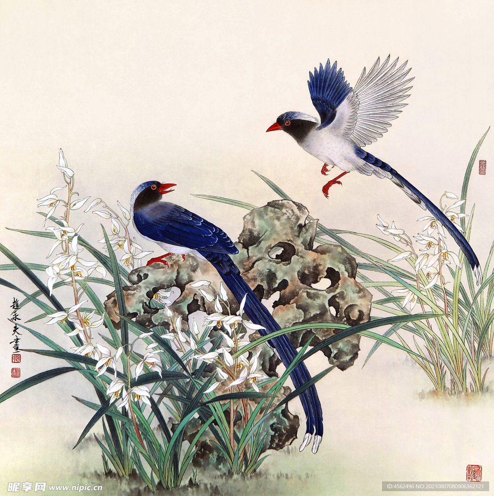 工筆花鳥