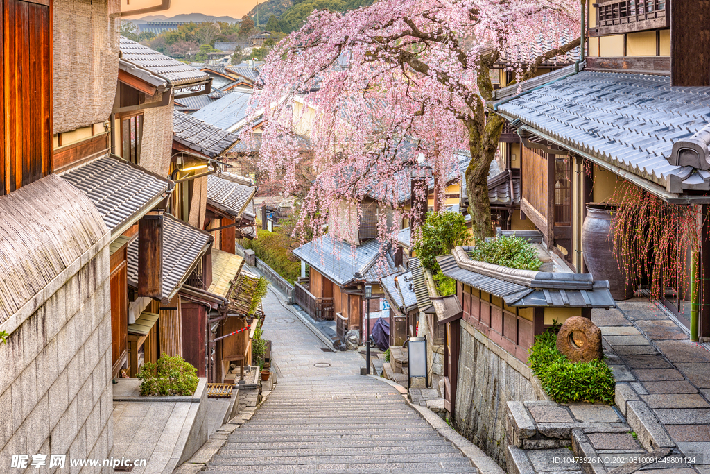 日本的春天 