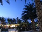 鼎龙湾 夜色 椰子树
