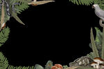 热带 鹦鹉 PNG 免抠图