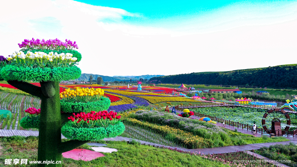 花海