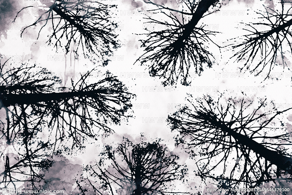 树枝与天空黑白水墨画