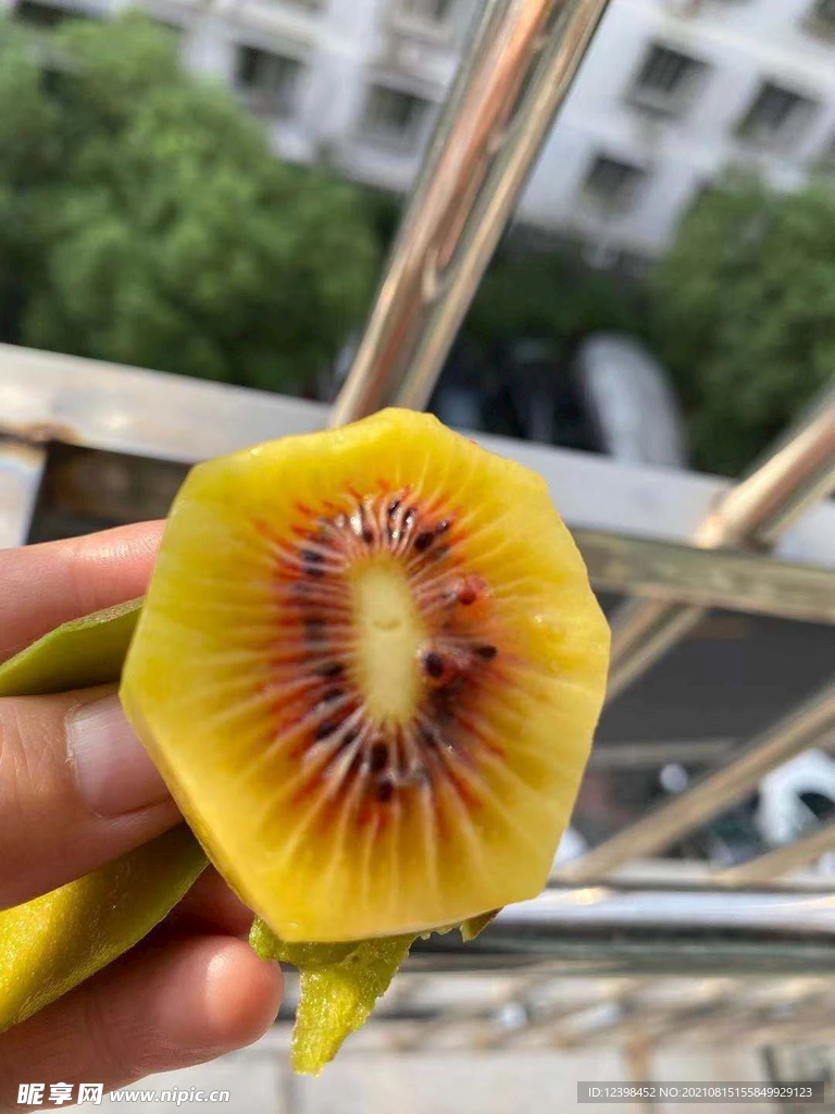 獼猴桃攝影美圖