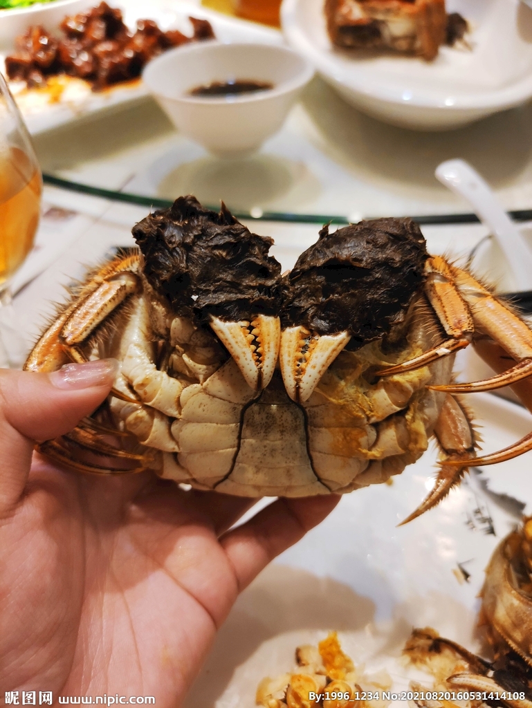 螃蟹照片