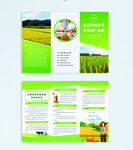 农业水稻种植合作社简介