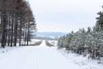 白雪覆盖的乡村公路