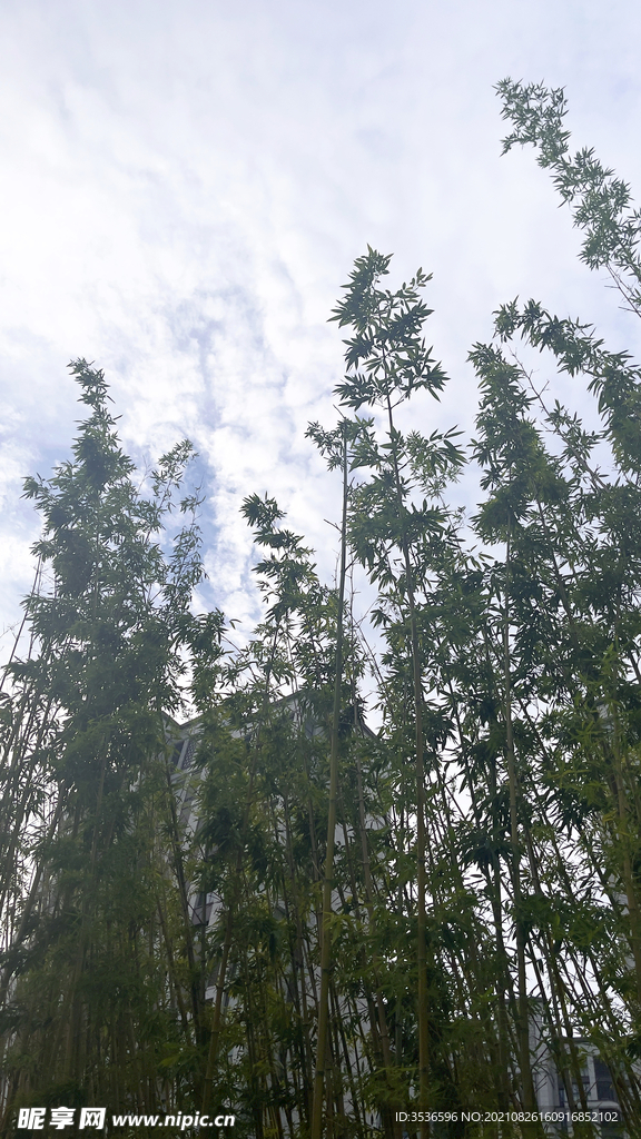 自然景觀