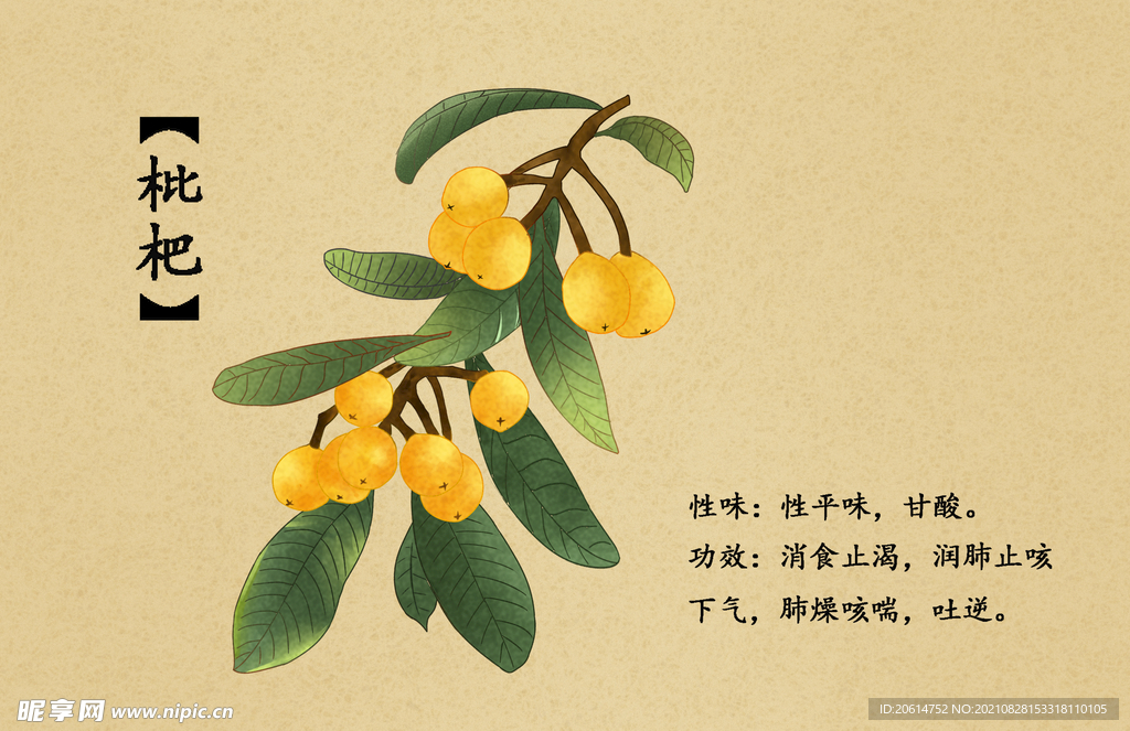 枇杷