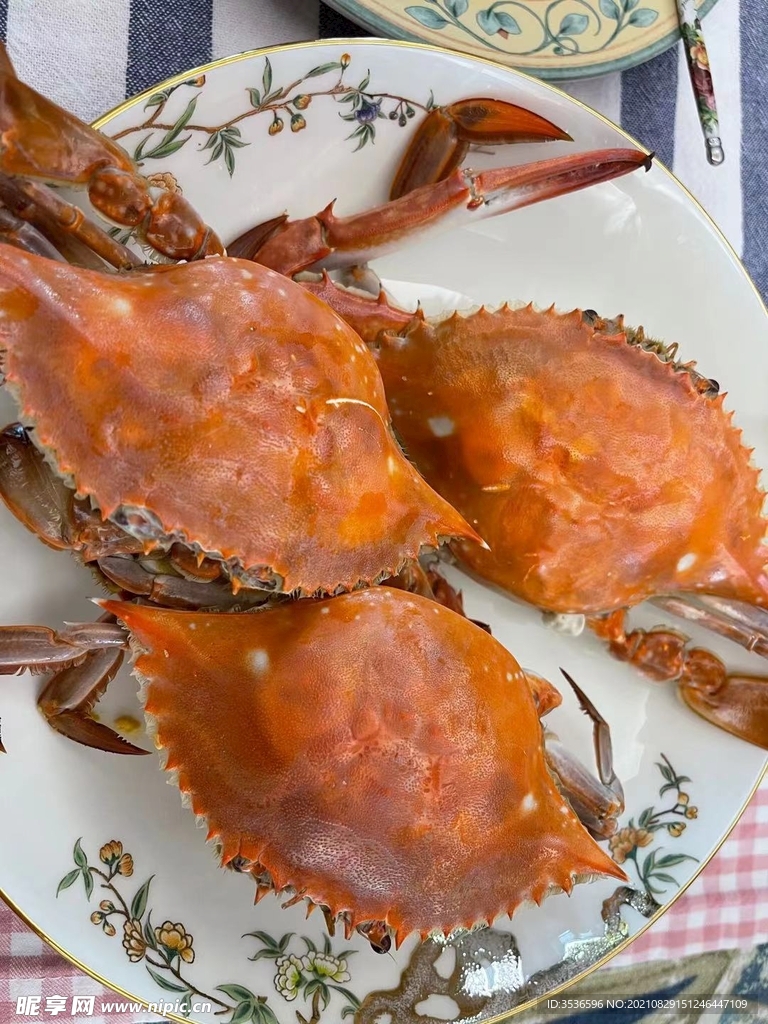 梭子蟹