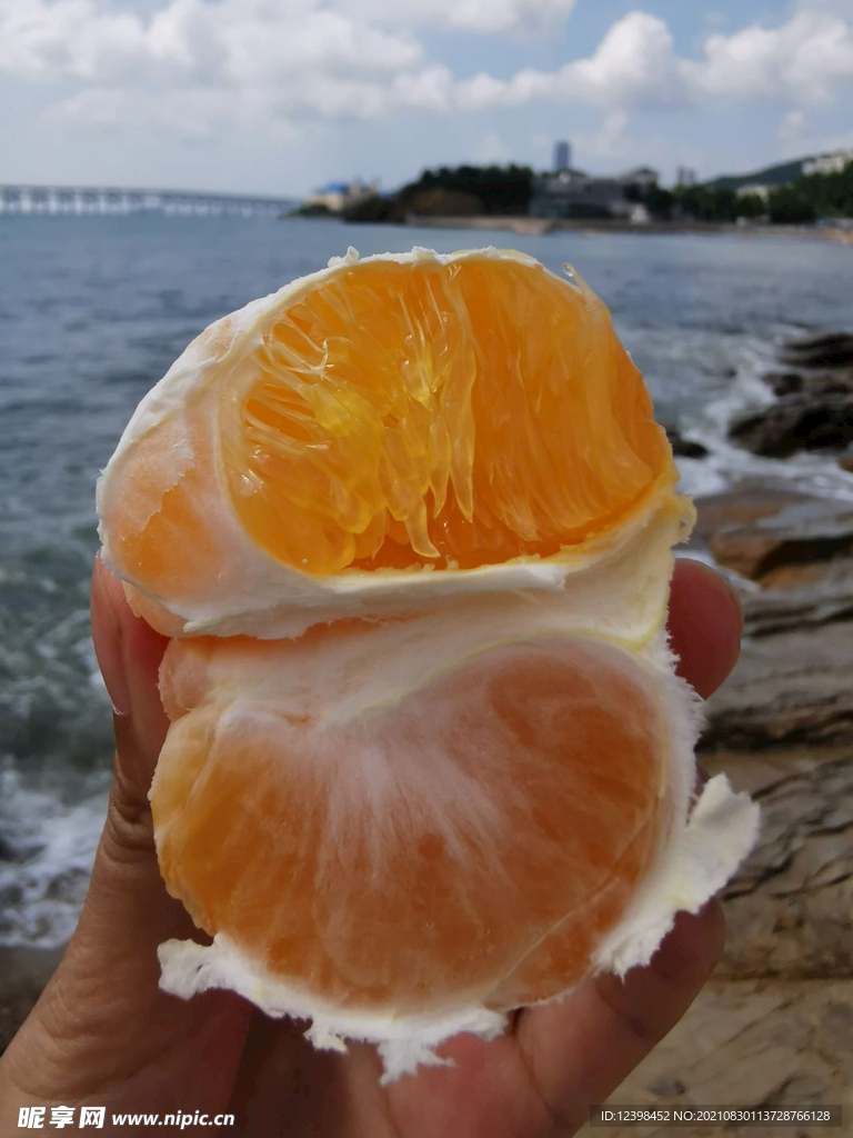 無籽蜜橘