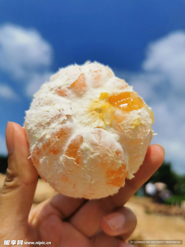 無籽蜜橘