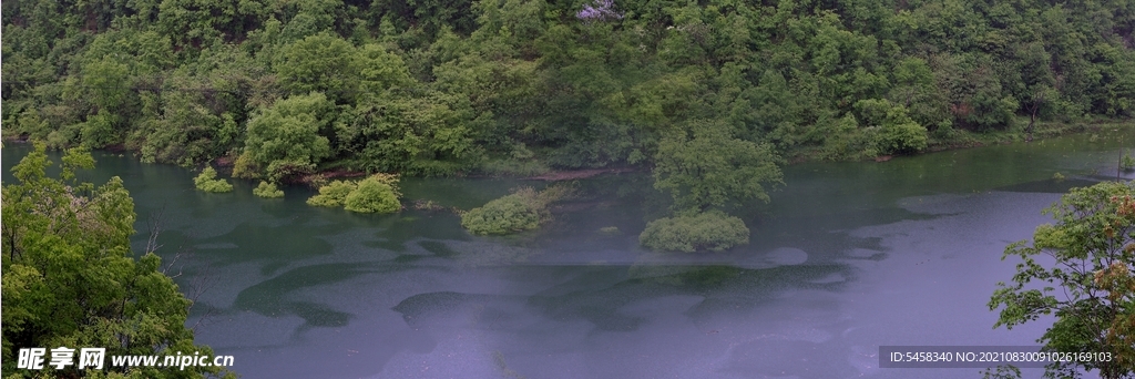 黃柏源