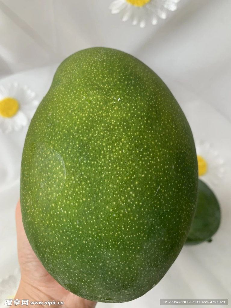 凱特芒芒果