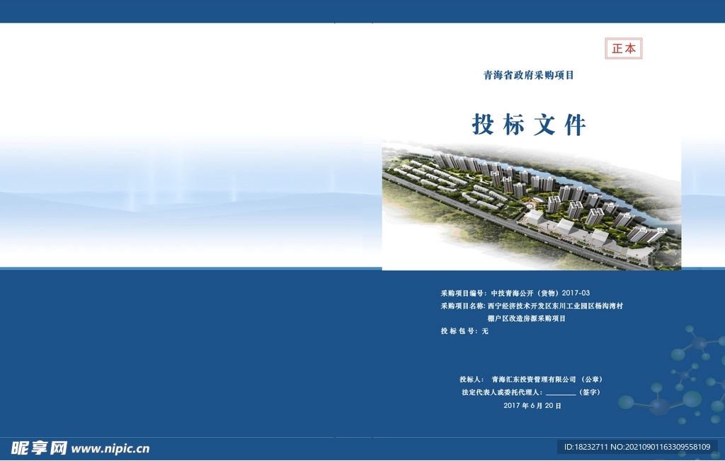 標(biāo)書封面