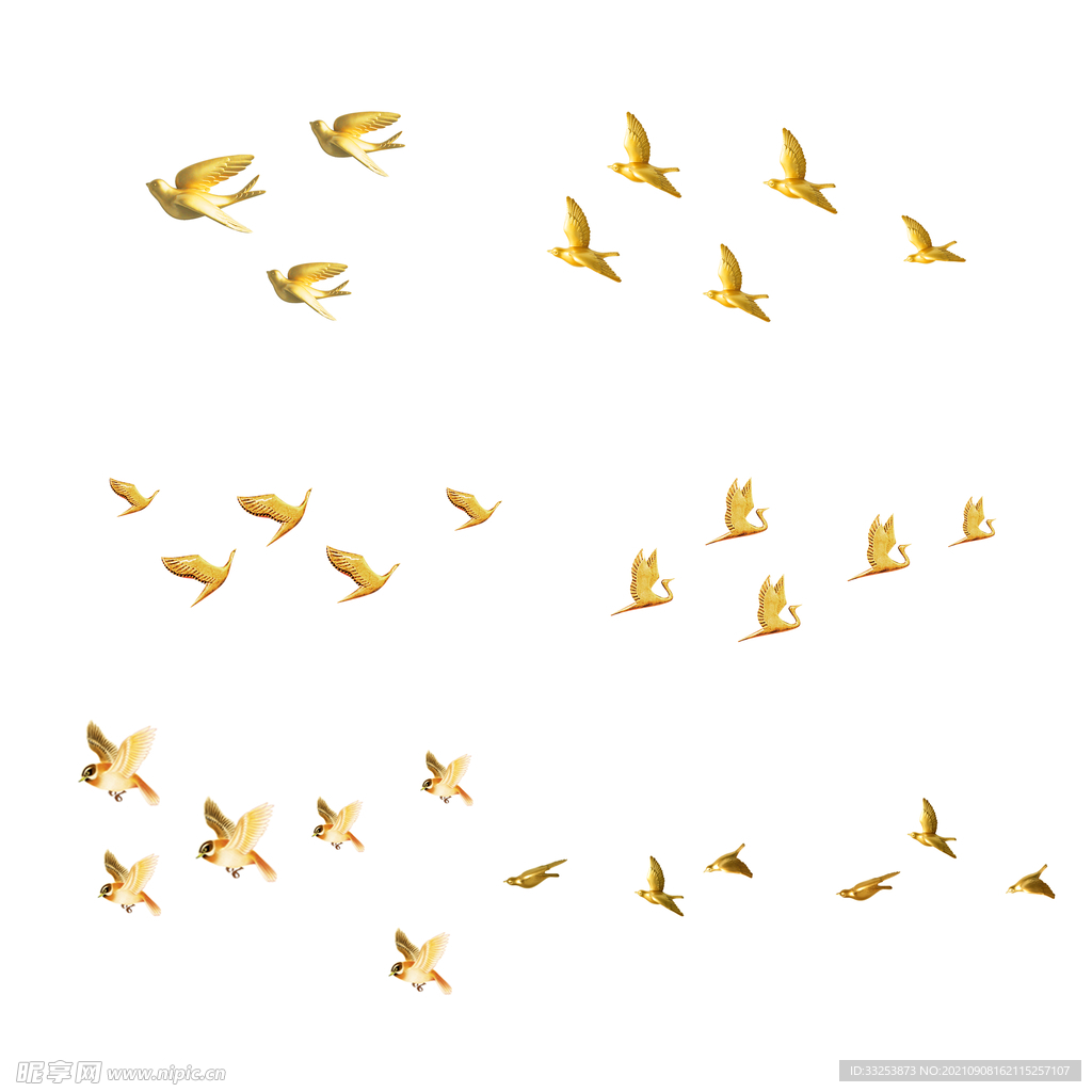 金鳥 