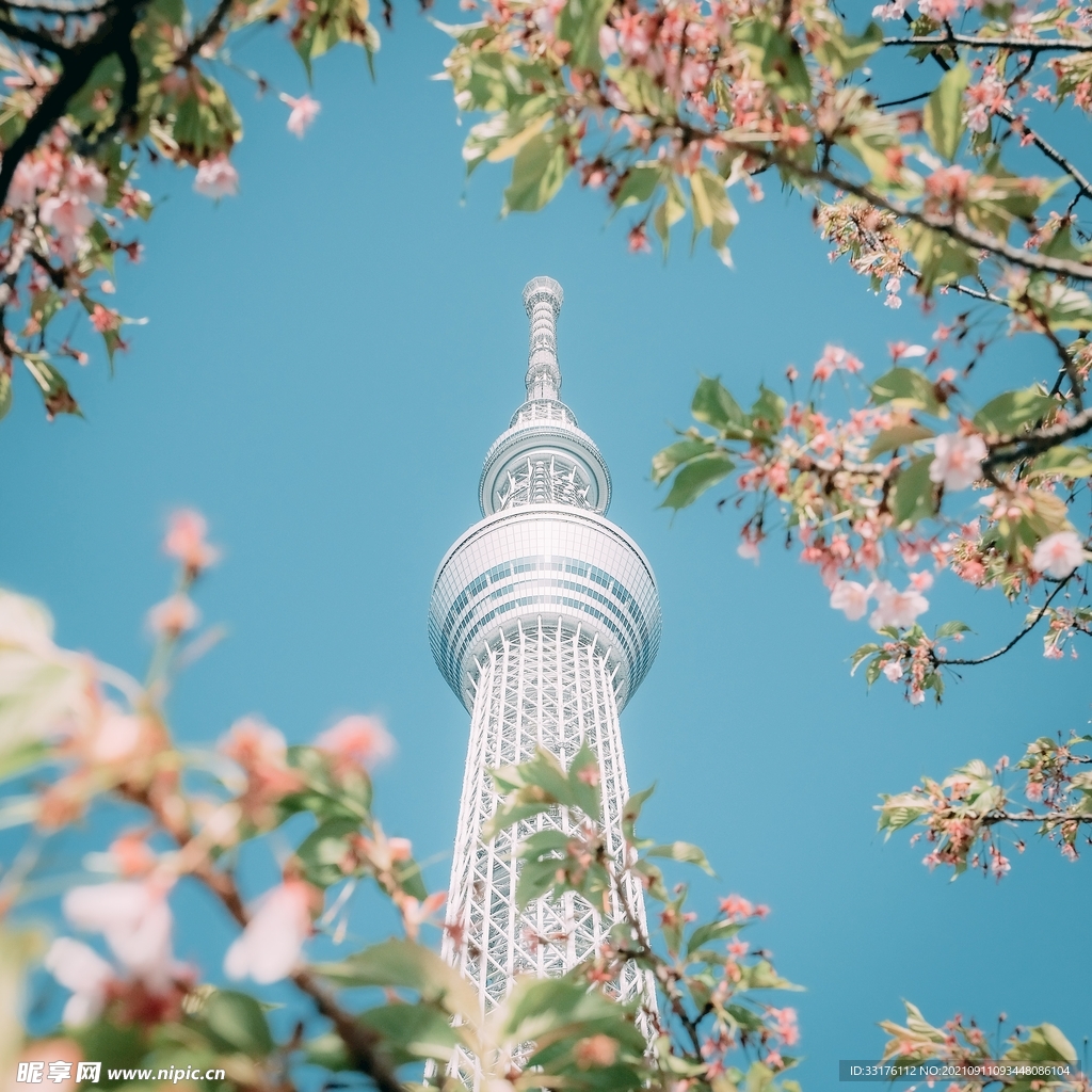 花卉中高塔