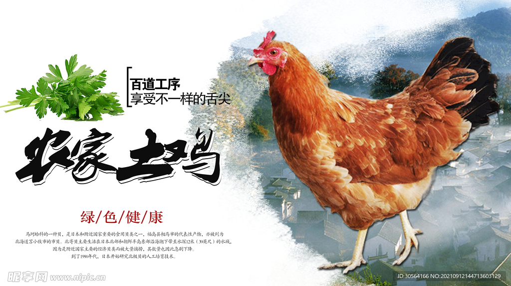 農(nóng)家土雞