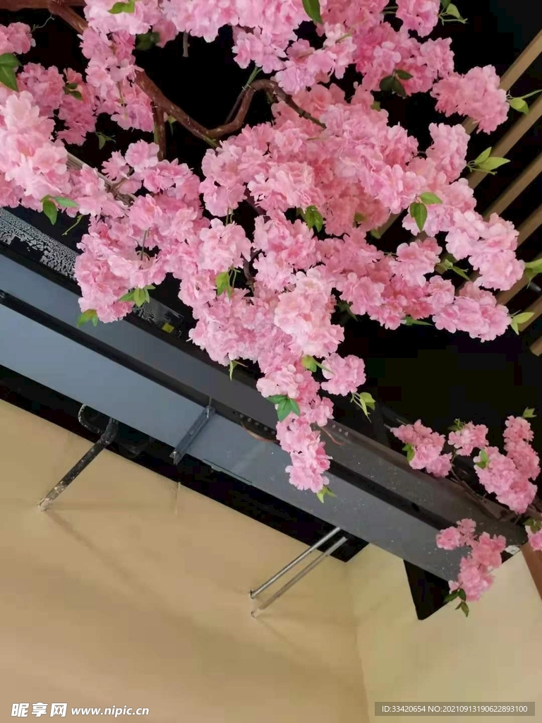 櫻花