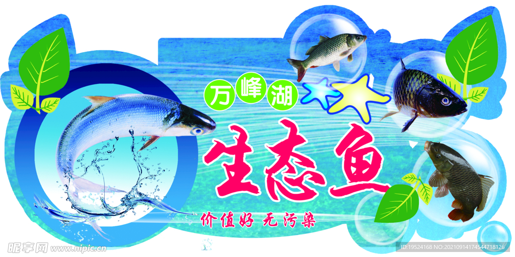 生態(tài)魚