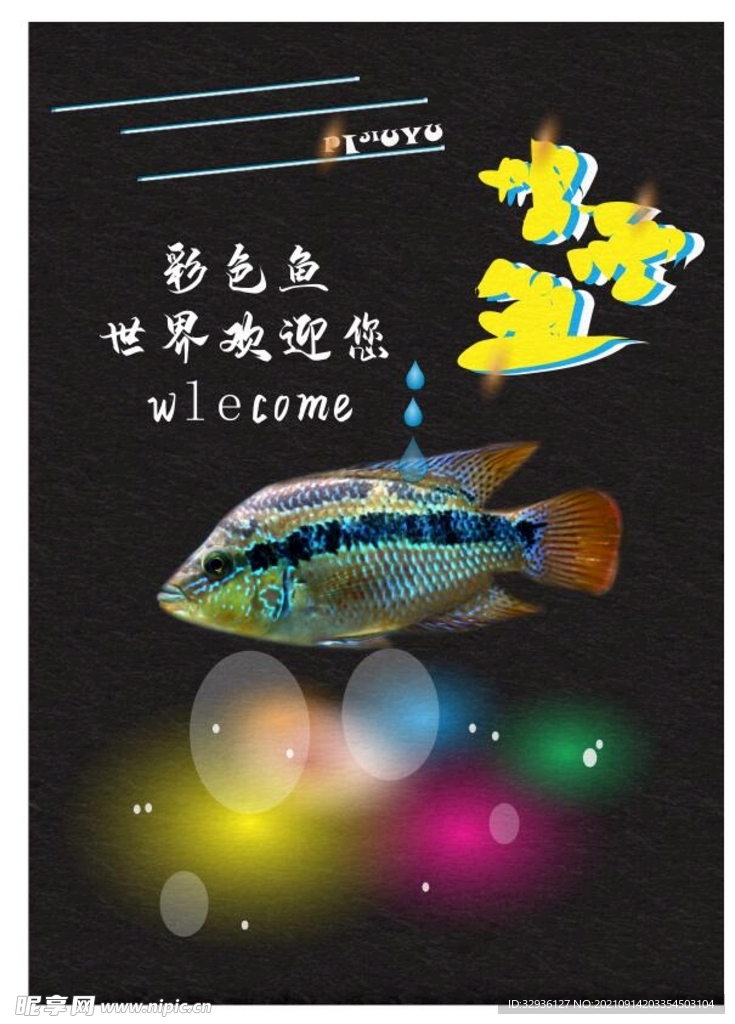 彩色魚