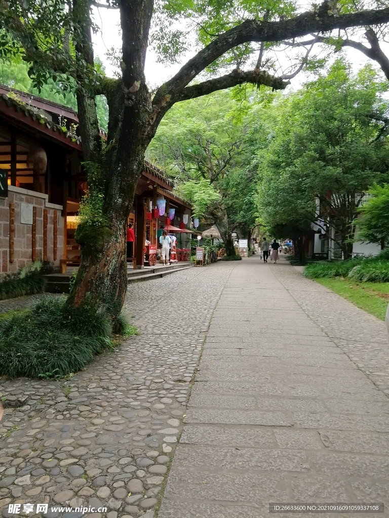 武夷山