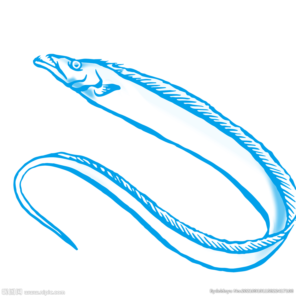 帶魚