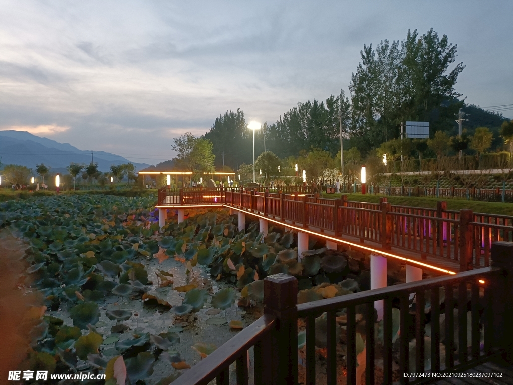 崎山小游園