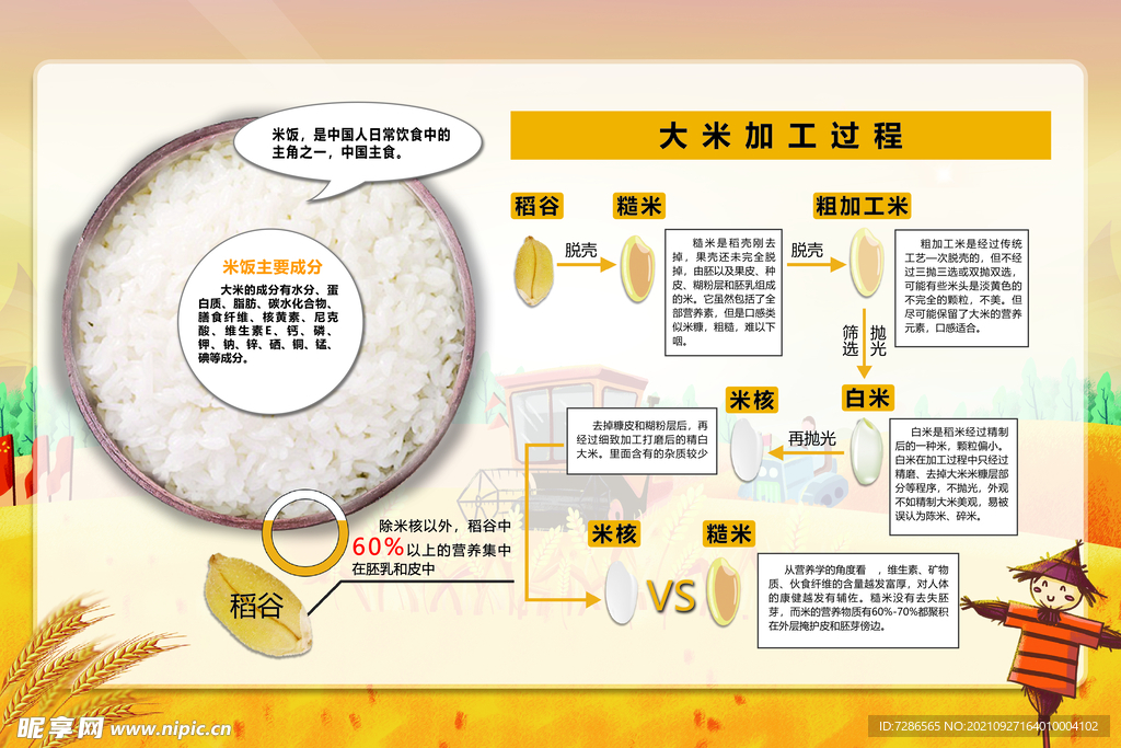 大米加工过程