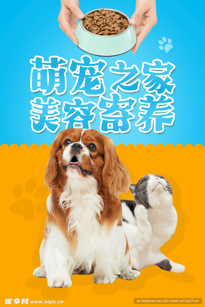 寵物美容寄養(yǎng)
