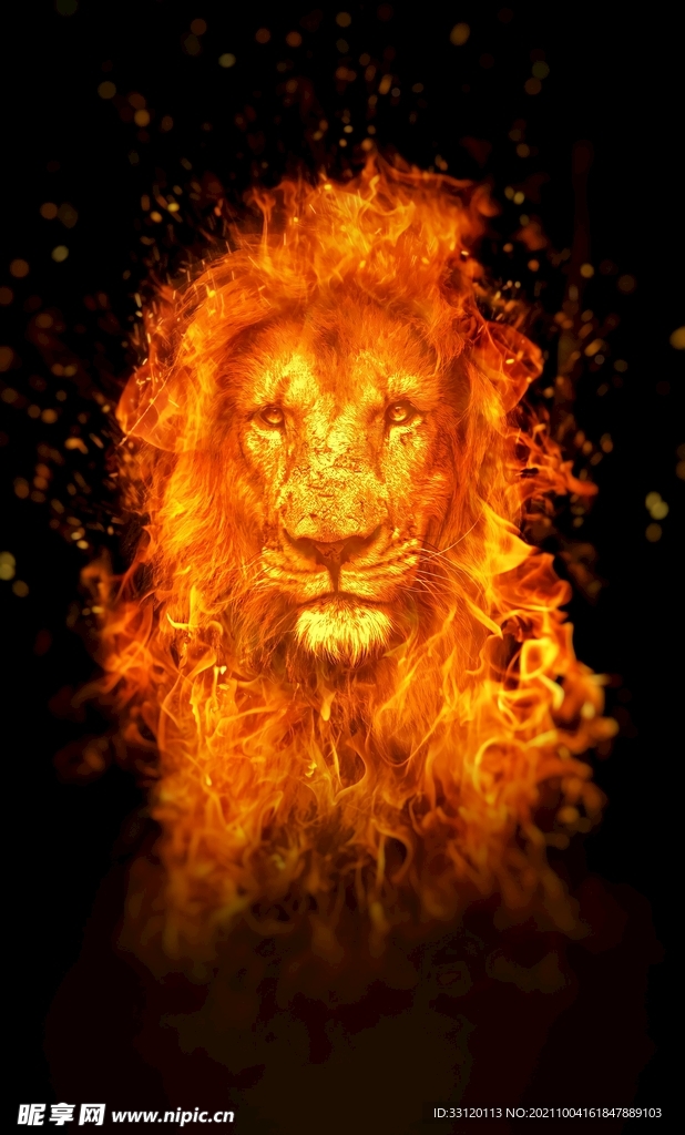 狮子 