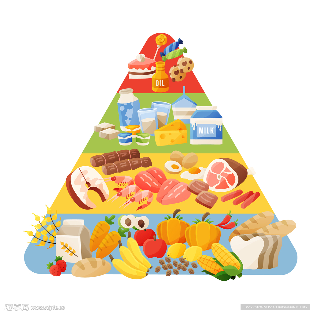 健康食品金字塔矢量