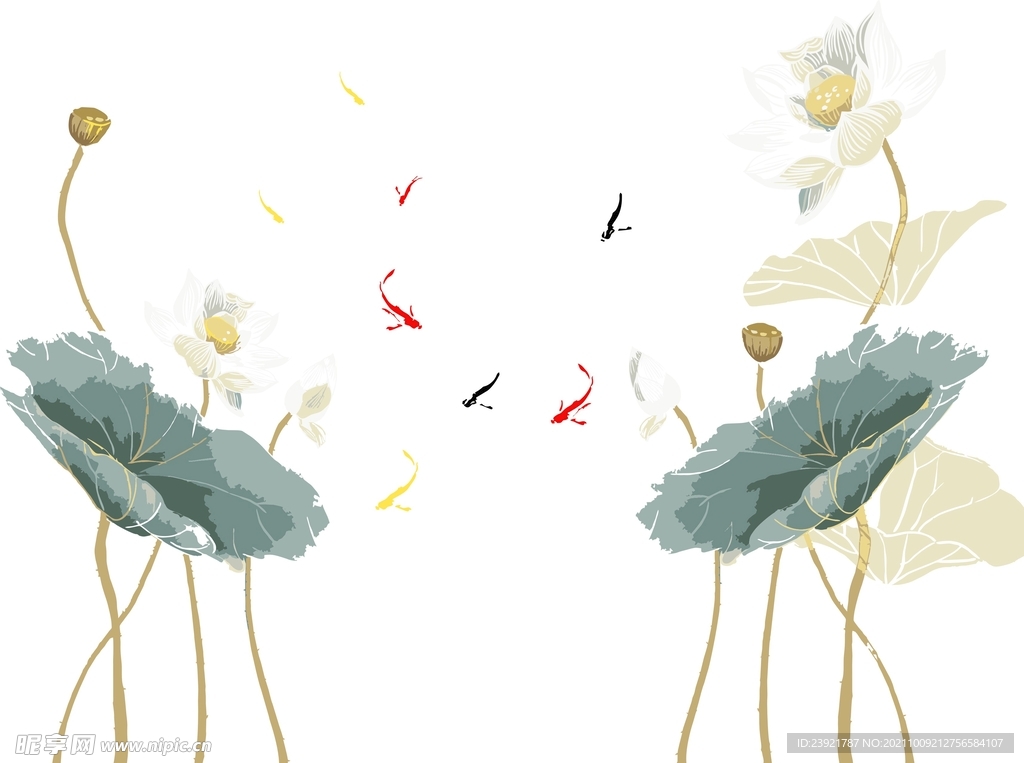 荷花