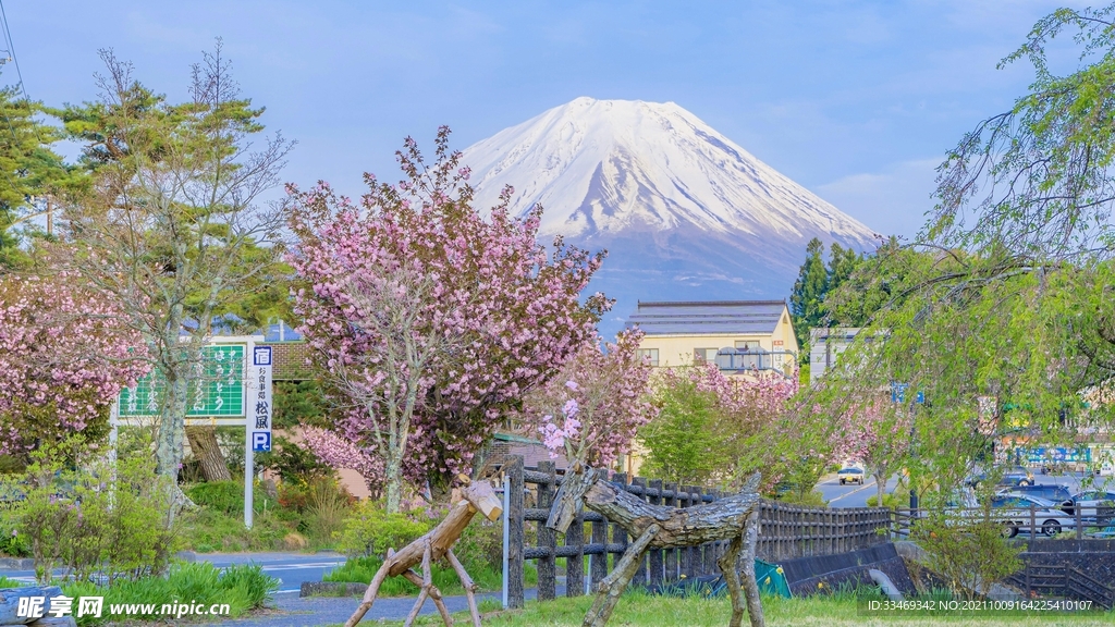 富士山的初夏