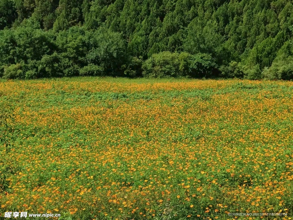 風景