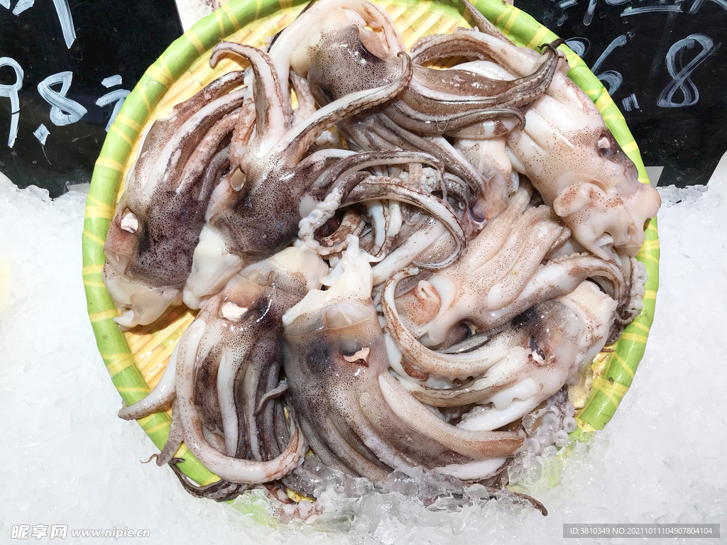 冰凍魷魚