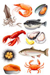 海产品食物