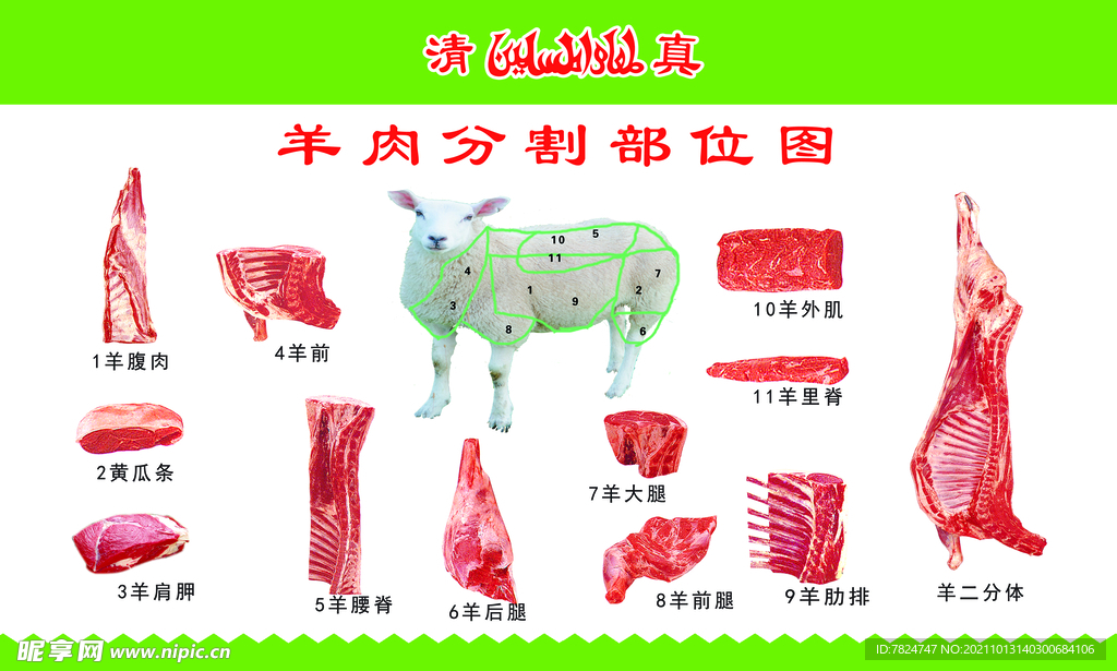 牛羊肉分割圖