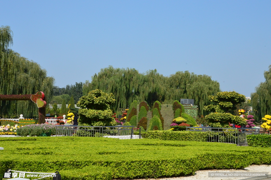 公園風景 